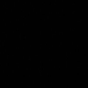 Meet your Posher, Ava